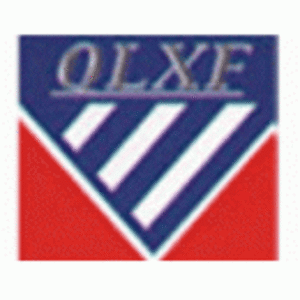 山東強力消防工程有限公司聊城分公司