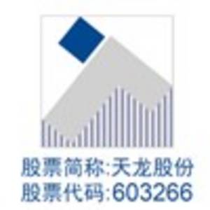 寧波天龍電子股份有限公司