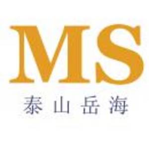 肥城岳海化工有限公司