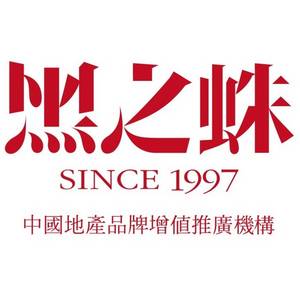 深圳市黑之蛛广告有限公司长沙分公司标志