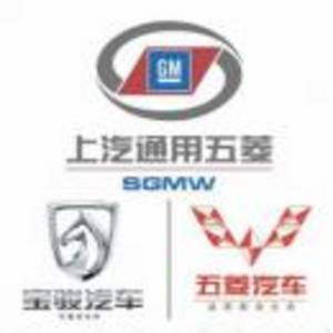 湖南宏菱汽車銷售服務(wù)有限公司