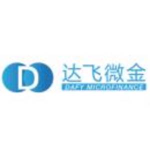 达飞微金商务咨询(北京)有限公司标志