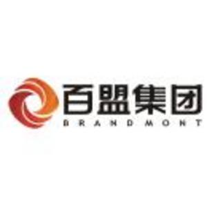 荊州百盟投資有限公司