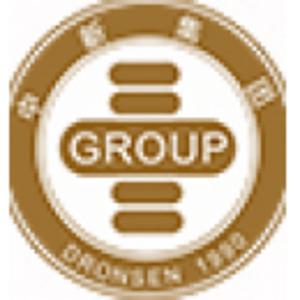 河南中新會計師事務所有限公司