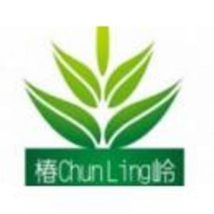 武漢椿嶺科技有限公司