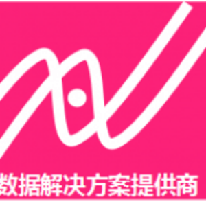 大連達碩信息技術有限公司