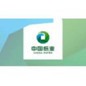 中國紙業投資有限公司