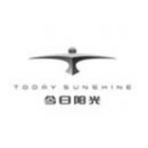浙江今日陽光新能源車業有限公司