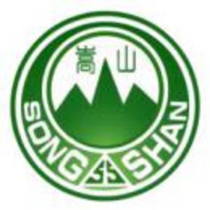 河南頌源涂料有限公司