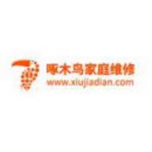 重慶啄木鳥網(wǎng)絡科技有限公司標志