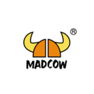 深圳市欣振聲電子有限公司