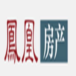 北京凤凰天博网络技术有限公司标志