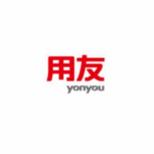 用友网络科技-开yun-体育官网入口登陆-正版App Store标志
