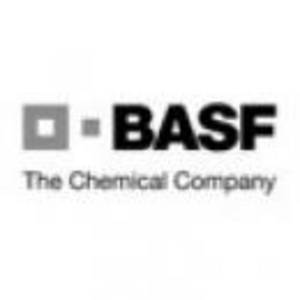 巴斯夫新材料有限公司