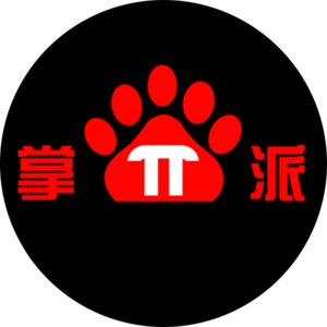 杭州掌派科技有限公司