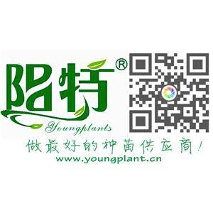 佛山市三水陽特園藝有限公司