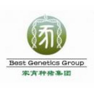 赤峰家育種豬生態(tài)科技集團(tuán)有限公司