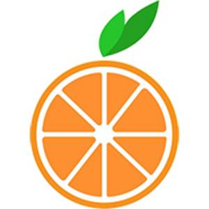 杭州橙子信息科技有限公司标志