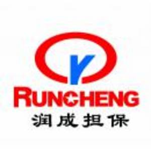 山東潤成汽車銷售融資擔保有限公司