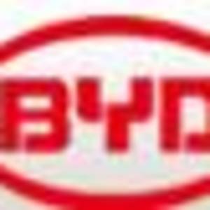 比亞迪精密制造有限公司