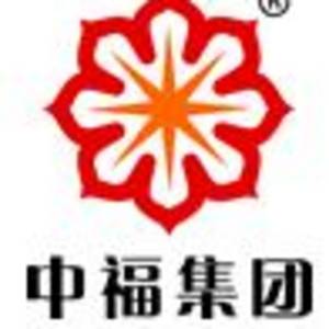 遼寧中福石油集團股份有限公司