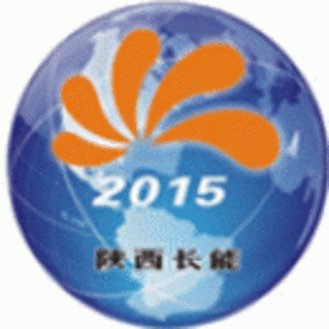 陜西長能能源信息咨詢有限公司