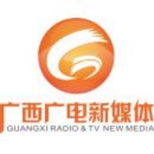 廣西廣電新媒體有限公司