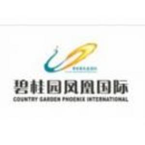 碧桂園美浪灣鳳凰酒店