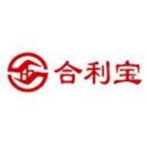 廣州合利寶支付科技有限公司