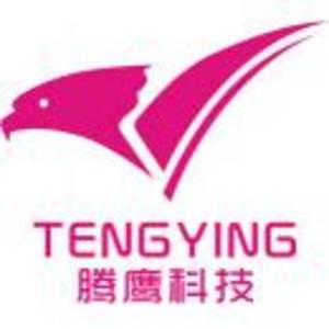 平頂山市騰鷹科技有限公司