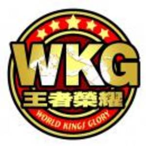 黑龍江省王者榮耀體育文化發(fā)展有限公司