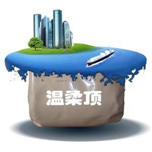 秦皇島溫柔頂科技有限公司