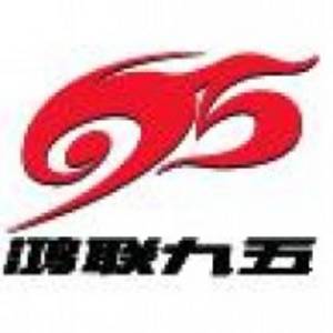 北京鴻聯(lián)九五信息產(chǎn)業(yè)有限公司