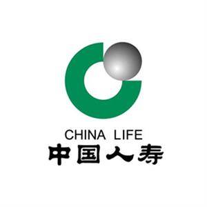 中国人寿保险-开yun-体育官网入口登陆-正版App Store青岛市市北区第二支公司标志