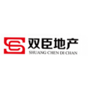 武漢雙臣房地產顧問有限公司