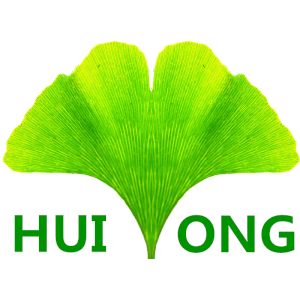 武漢慧通智云信息技術有限公司