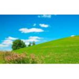 廣州寰才亞信息科技有限公司