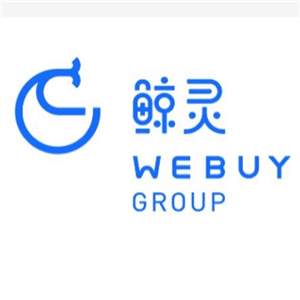 寧波鯨靈網絡科技有限公司