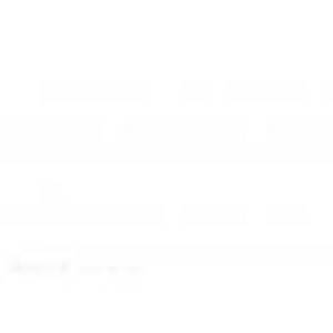 山東安特順食品有限公司