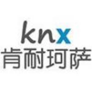 上海肯耐珂萨人力资源科技股份有限公司标志