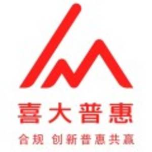 湖北喜大普惠稅務代理有限公司