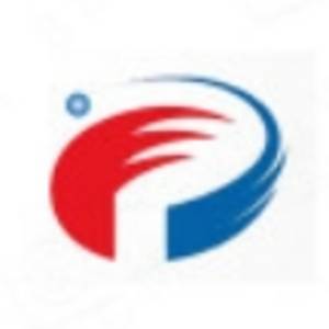 奔騰激光科技（山東）有限公司