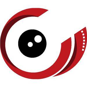 廣東盛視覺集團有限公司