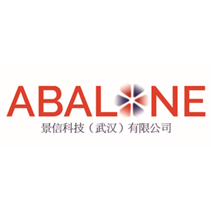 景信科技（武漢）有限公司標(biāo)志
