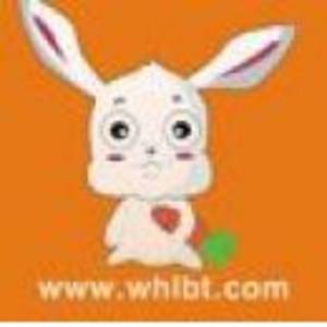 武漢蘿卜兔我愛機器人咨詢有限公司