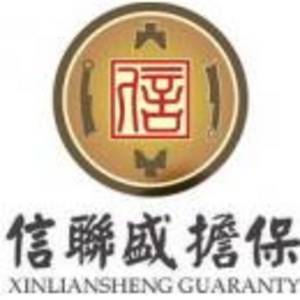 海南信聯(lián)盛融資擔保有限公司