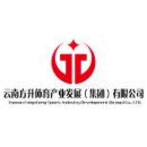 云南方升體育產業發展（集團）有限公司