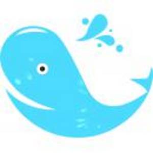 鯨游四海國際旅游集團有限公司