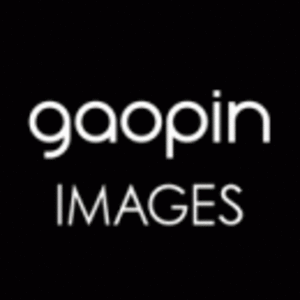 高品未來（北京）數(shù)字文化有限公司