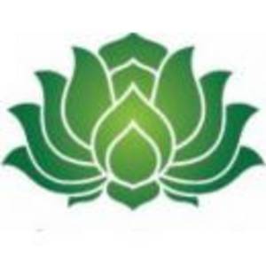 新疆銀朵蘭藥業股份有限公司